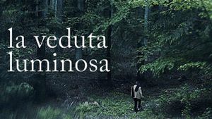 The Luminous View's poster