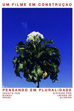 Pensando em Pluralidade's poster