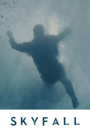 Skyfall's poster