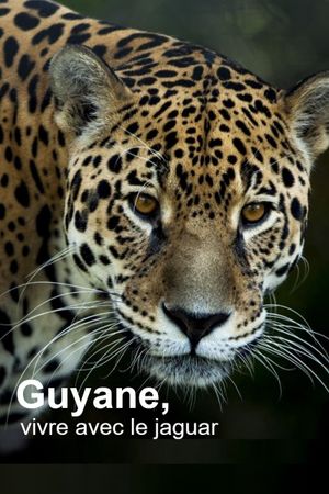 Guyane, vivre avec le jaguar's poster