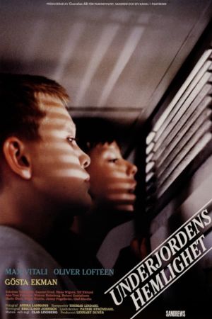 Underground Secrets's poster