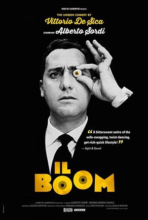 The Boom's poster