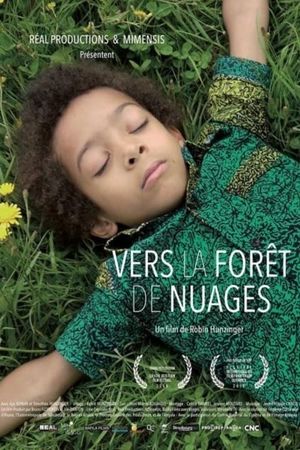 Vers la forêt de nuages's poster image