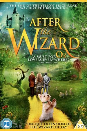 After the Wizard's poster