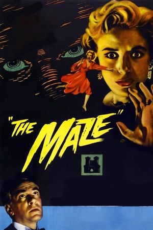 The Maze's poster