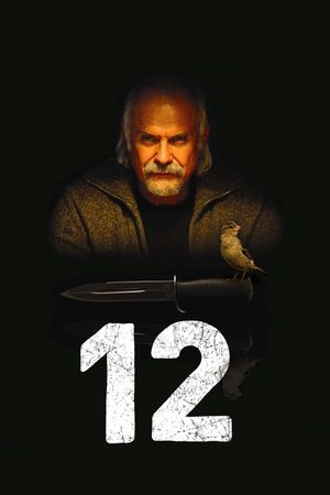12's poster