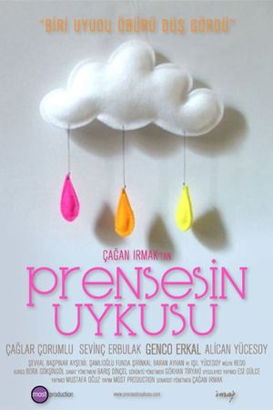 Prensesin Uykusu's poster