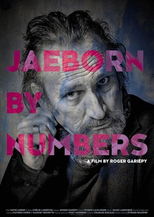 Jaeborn By Numbers's poster image