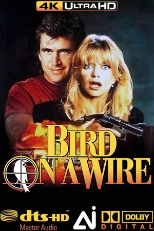 Bird on a Wire's poster