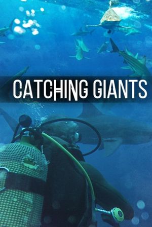 Catching Giants: Zambezi Shark's poster