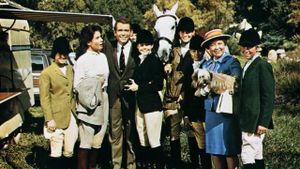 The Horse in the Gray Flannel Suit's poster