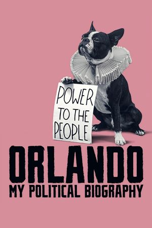 Orlando: My Political Biography's poster
