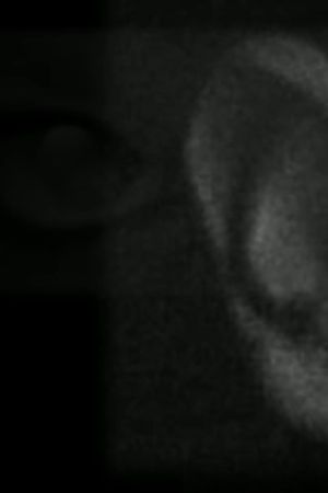 see the sound's poster