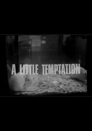 A Little Temptation's poster