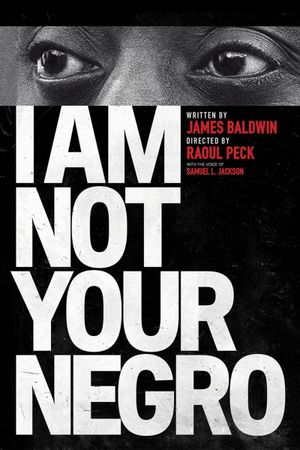 I Am Not Your Negro's poster