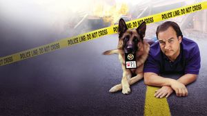 K-9: P.I.'s poster