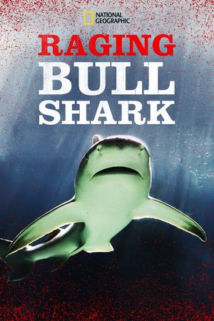 Raging Bull Shark's poster image