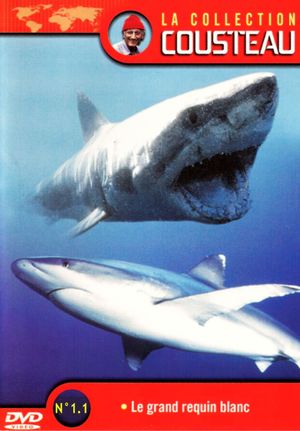 La Collection Cousteau N° 1 | Le Grand Requin Blanc | Les Requins Dormeurs Du Yucatan's poster