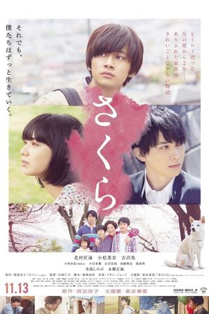 Sakura's poster