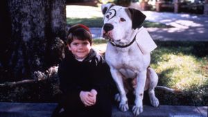 The Little Rascals's poster