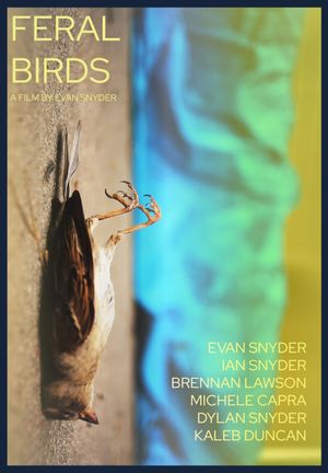 Feral Birds's poster