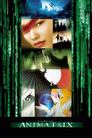 The Animatrix's poster