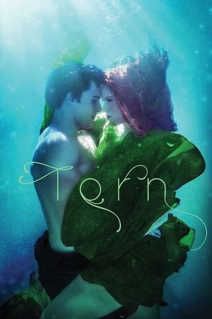 Torn's poster