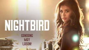 Nightbird's poster