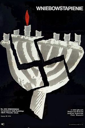 Wniebowstapienie's poster