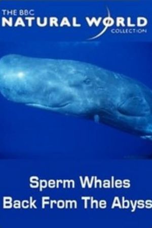 Sperm Whales: Back from the Abyss's poster