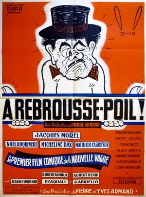 À rebrousse-poil's poster
