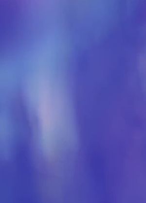 Jacarandas's poster