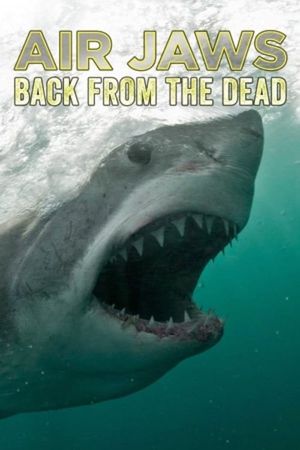Air Jaws: Back From The Dead's poster
