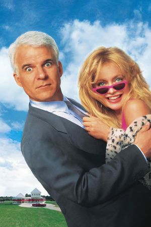 HouseSitter's poster