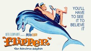 Flipper's poster