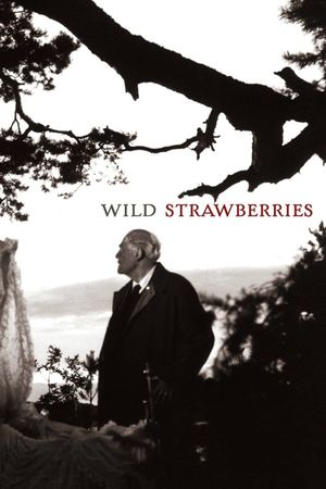 Wild Strawberries's poster