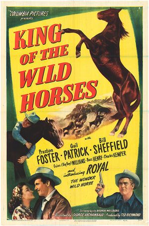 King of the Wild Horses's poster