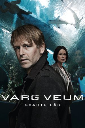 Black Sheep's poster