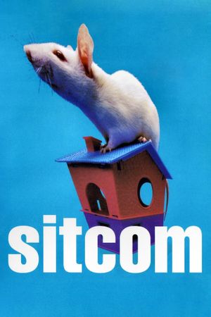 Sitcom's poster