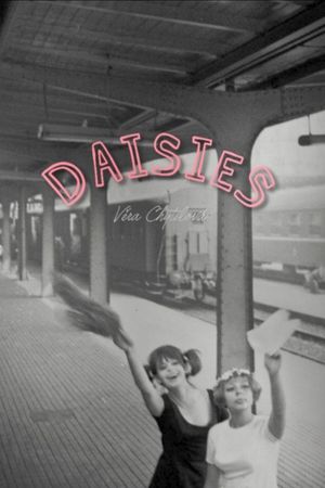 Daisies's poster