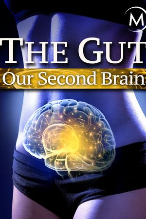 The Gut: Our Second Brain's poster