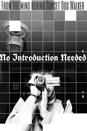 No Introduction Needed's poster