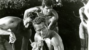 Cool Hand Luke's poster
