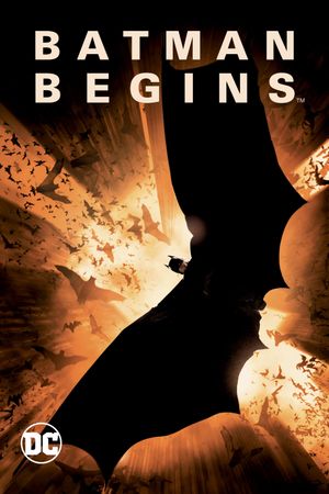 Batman Begins's poster