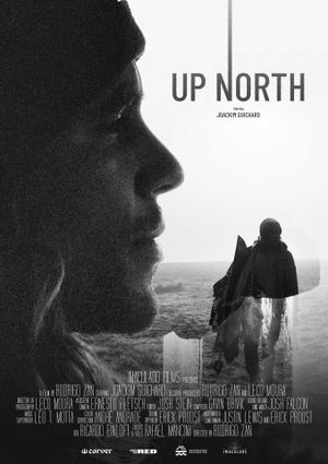 Up North's poster