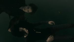The Twilight Saga: New Moon's poster