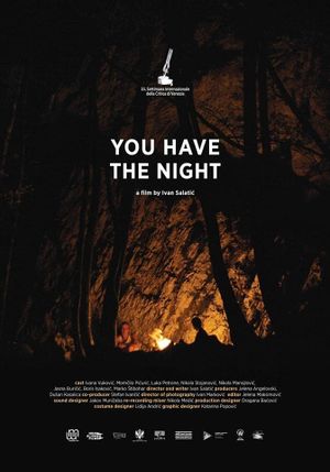 You Have the Night's poster