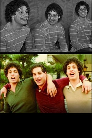 Three Identical Strangers's poster