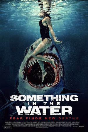 Something's poster