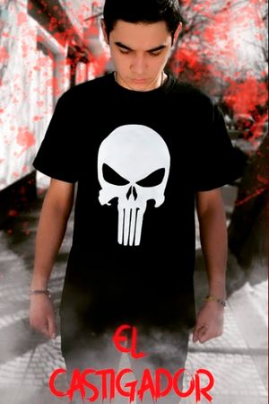 The Punisher's poster